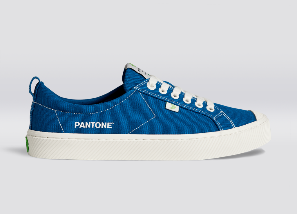 Pantone Shoes