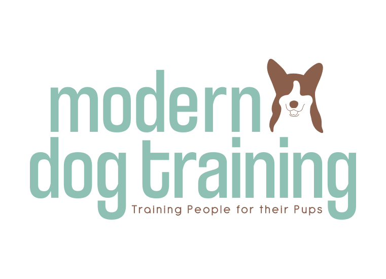 Modern Dog Training Custom Logo