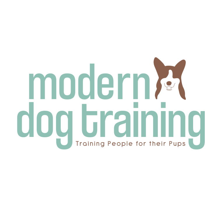 Modern Dog Training Custom Logo