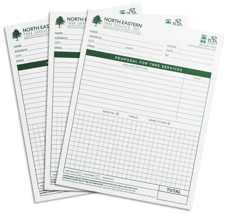 North Eastern Tree Forms