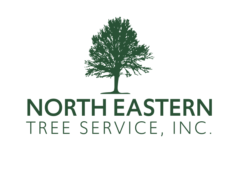 North-Eastern Tree Service Custom Logo