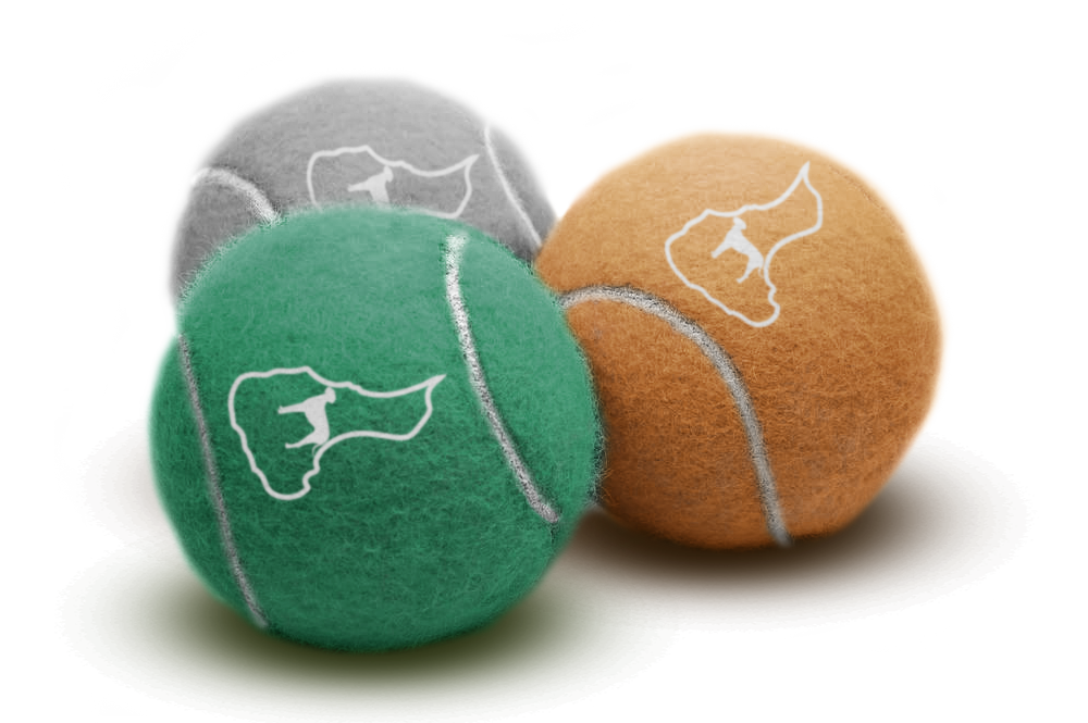 Mutt Hutt Tennis Balls